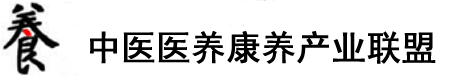 女人被鸡巴肏逼视频网站